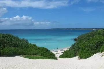 Summer in Sunny Miyakojima