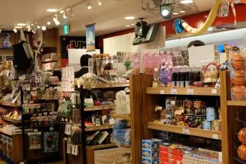 Gallery image