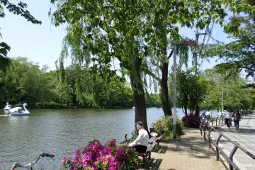Shakujii Park