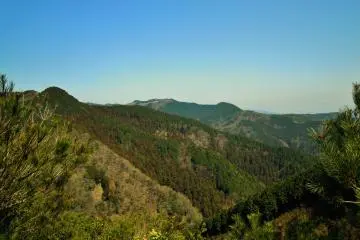 Hiking around Minoo Waterfall