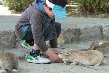feeding the bunnies (Photo: <a href="http://www.flickr.com/photos/gethiroshima/" target="_blank" rel="noreferrer noopener nofollow">gethiroshima.com</a>)