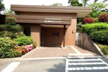Gallery image