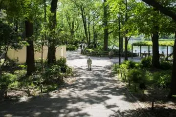 Things to do near the Ghibli Museum