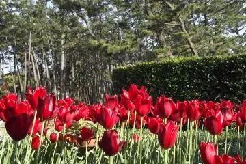Numazu Imperial Villa Memorial Park