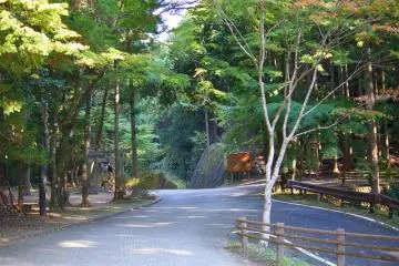 Old Kumano Road: Iseji Route