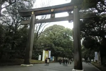 Yutaka Yokoyama Guide Service