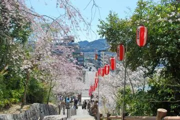 Tankaku Castle: Shingu Castle Ruins