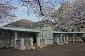 Gallery image