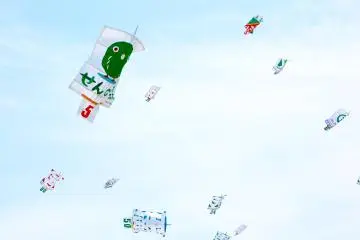 Ikazaki Kite Fighting Festival 2026