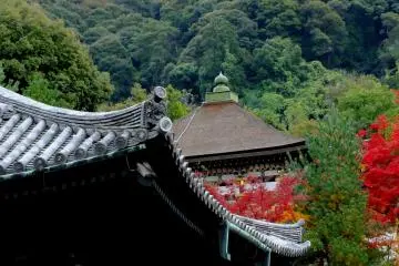 Nene and Kodaiji Temple, Kyoto