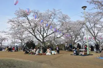 Beautiful Kinugasayama Koen