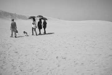 Scattered around Tottori Sand Dunes