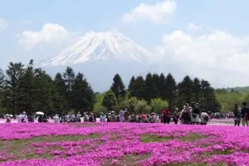 La Vie en Rose à Fujigoko 2026