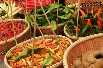 Thai Festival in Yoyogi Park 2026