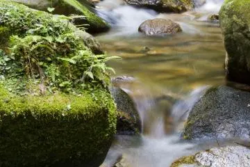Along the Ochozu Falls Hiking Trail