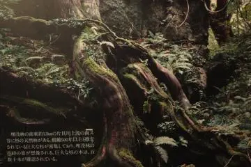 Uozu's Buried Forest Museum