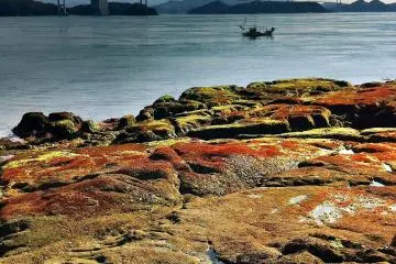 Oshima Island