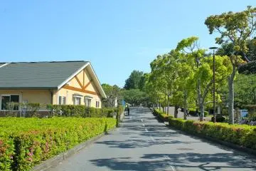 Gallery image