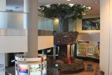 Gallery image