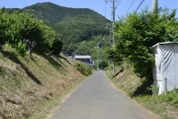 A view of Mt. Hiwada on the walk to Alishan Organic Center and Cafe (Photo: Butterfly Hu )