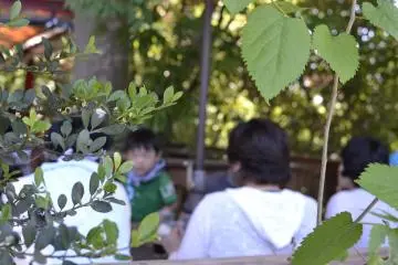 The cafe has an outdoor deck overlooking the Koma river (Photo: Butterfly Hu)