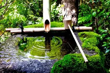 Daiho-in Garden