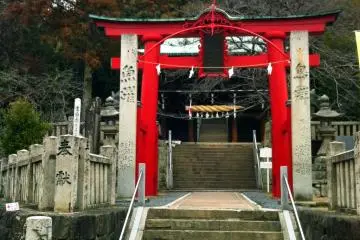 Gallery image