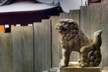 Another lion