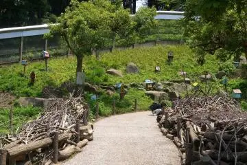 Gallery image