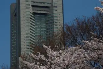 Yokohama Kamon-yama Park