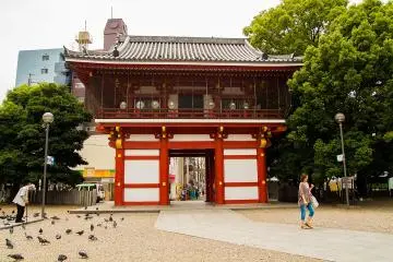 Gallery image