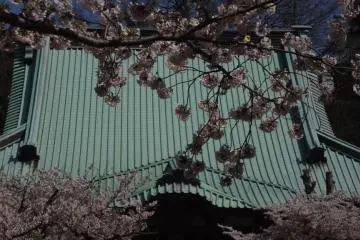 Kamakura’s Komyo-ji Temple