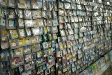 Gallery image
