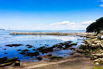 Cape Tsurugi Coastal Walk　