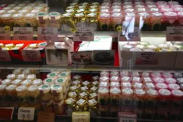 Asakusa Silk Pudding