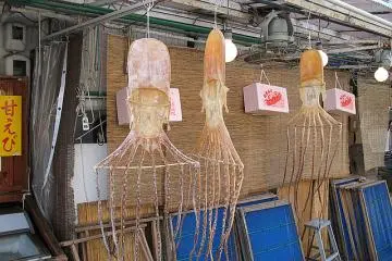 Dried Octopus in the fishing village called Amanohashidate north of Kyoto (Photo: <a href="http://www.flickr.com/photos/osakajon/123062920/" target="_blank" rel="noreferrer noopener nofollow">Jonathan</a>)