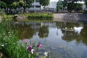 Gallery image