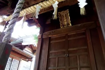 Gallery image