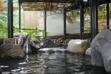 Kinugawa Park Hotels Onsen