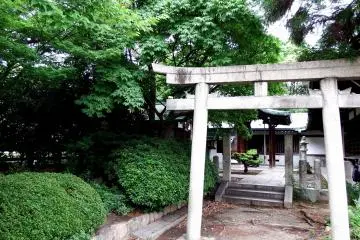 Gallery image