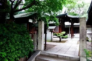 Gallery image