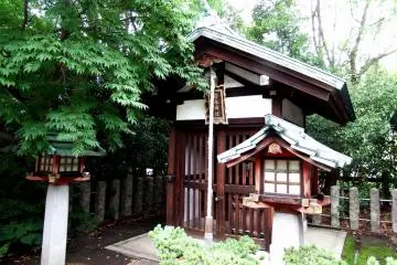 Gallery image