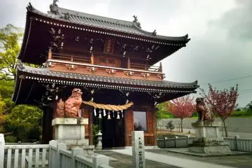 Gallery image
