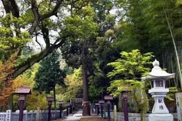 Gallery image