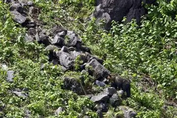 Shiretoko Peninsula in Spring