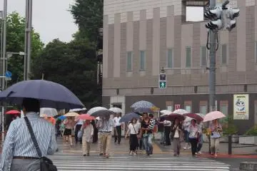 Tokyo in the Rain