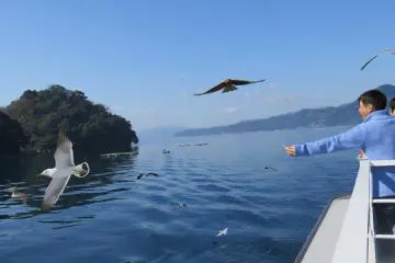 Cruising at Ine Bay