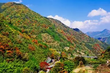 Kayaking Adventure in Gokase
