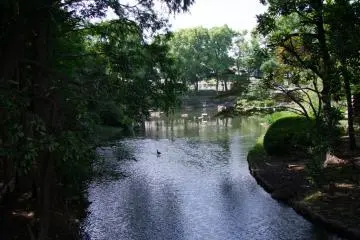 The Serenity of Togoshi Park