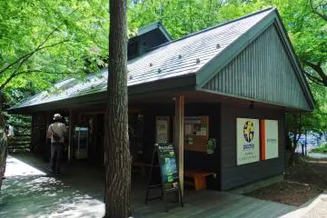 Gallery image